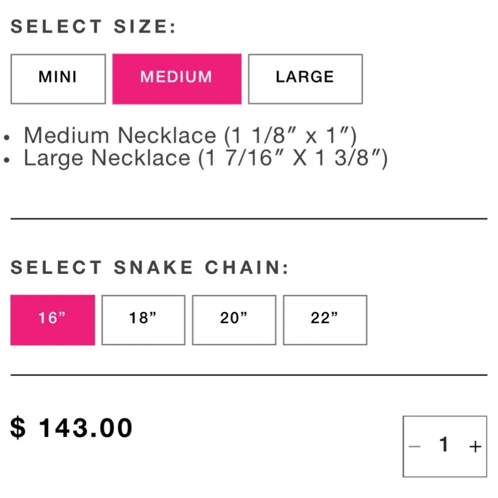 WTC- Horseshoe Necklace - Picture 5 of 7